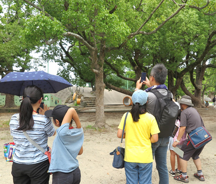 公園内のARスポットでスマホをかざす親子連れ （親子サマースクール2019にて）。